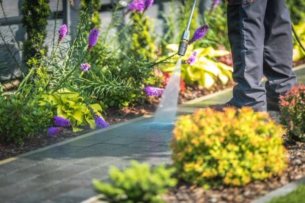 Best Gas Station Cleaning  in East Massapequa, NY